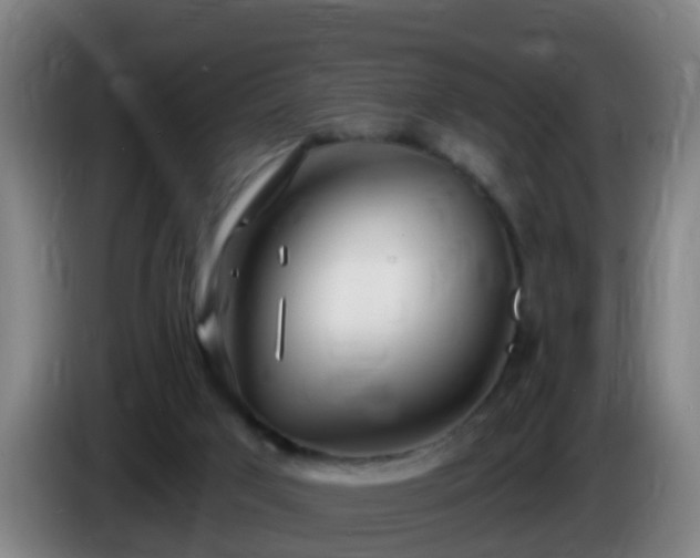 X0000086100017200703301225