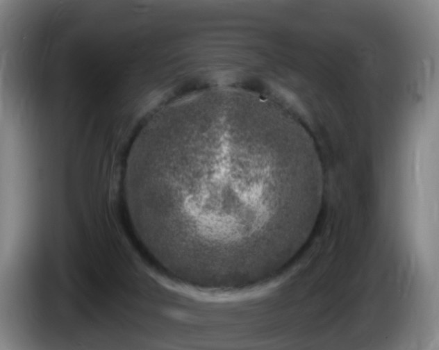 X0000086100018200703301225