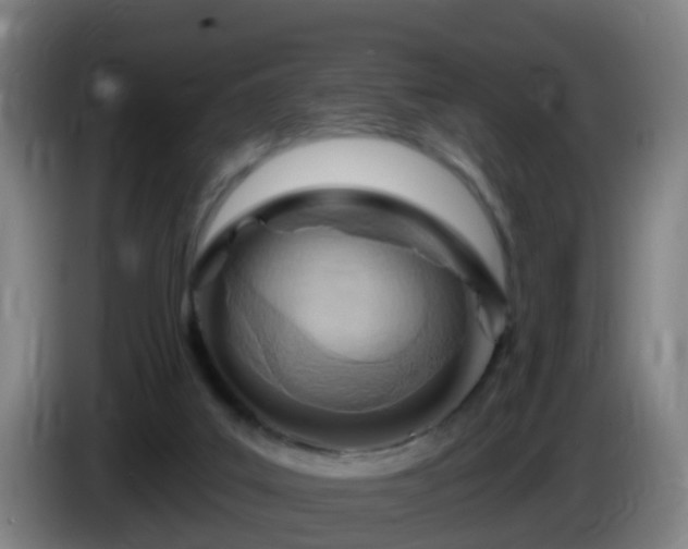 X0000086100019200703301225