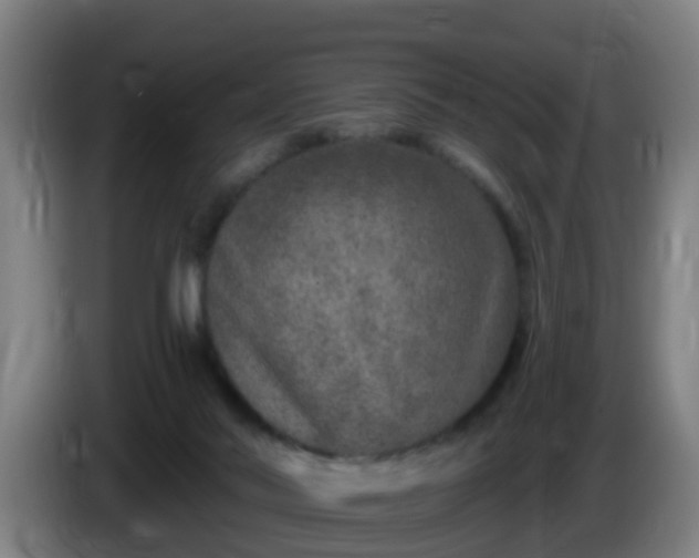 X0000086100022200703301225