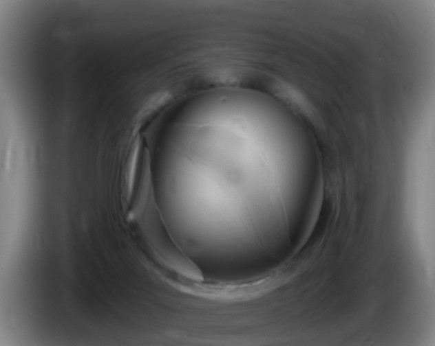 X0000086100023200703301225