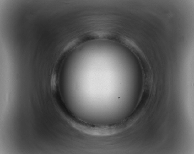 X0000086100024200703301225