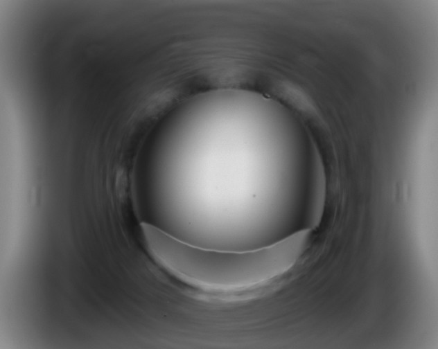 X0000086100025200703301225
