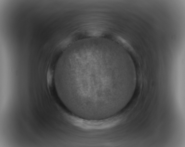 X0000086100026200703301225