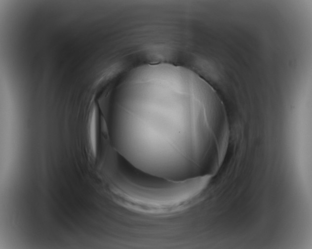 X0000086100027200703301225