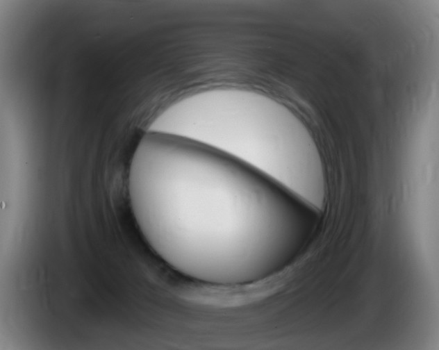 X0000086100029200703301225