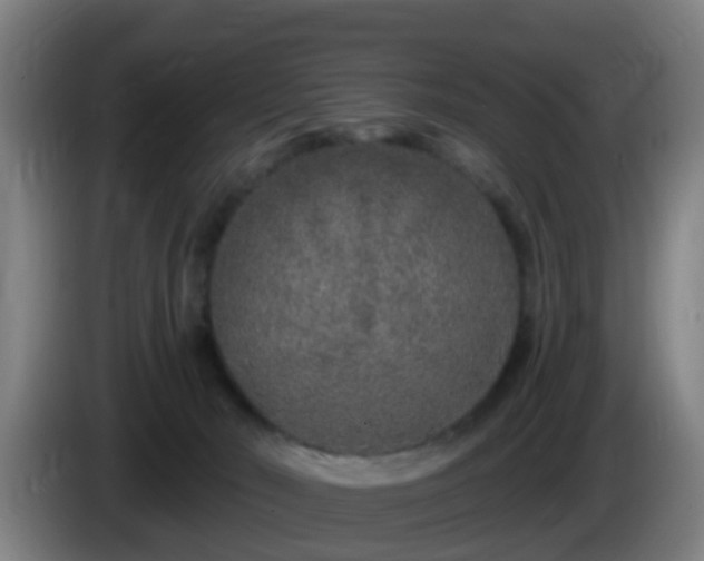 X0000086100030200703301225