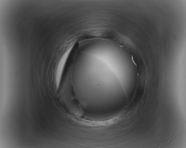 X0000086100031200703301225