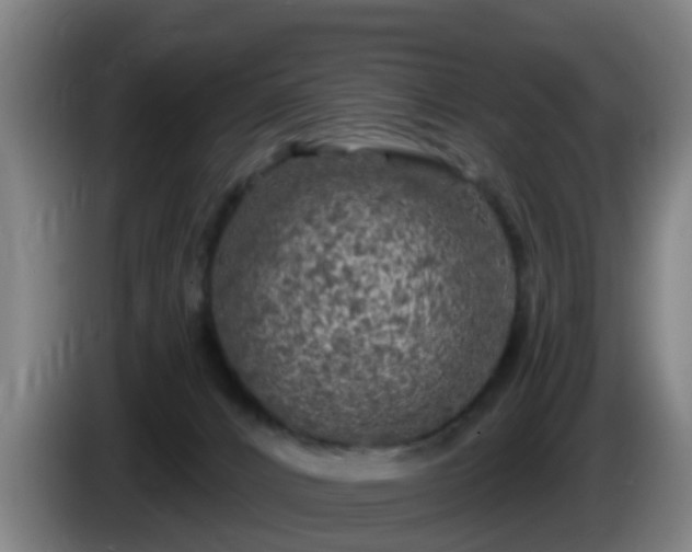 X0000086100032200703301225