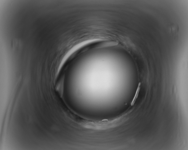 X0000086100033200703301225