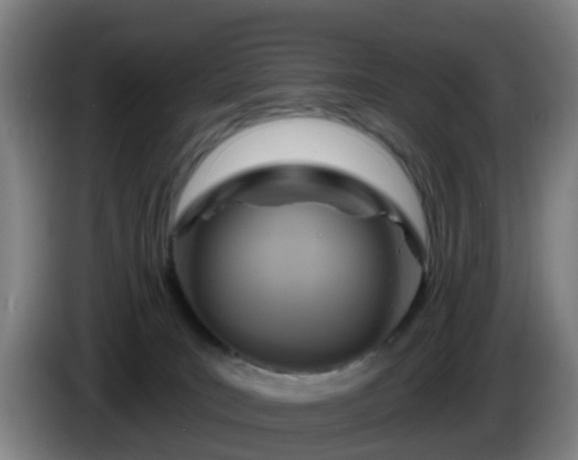X0000086100035200703301225