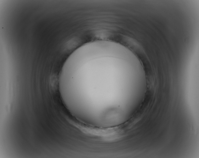 X0000086100036200703301225