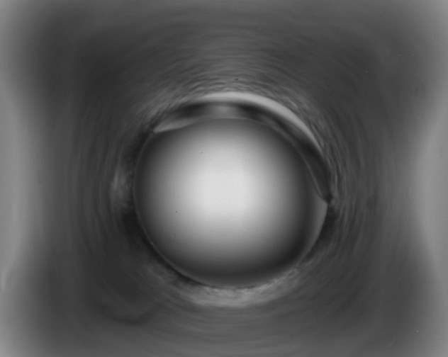 X0000086100037200703301225