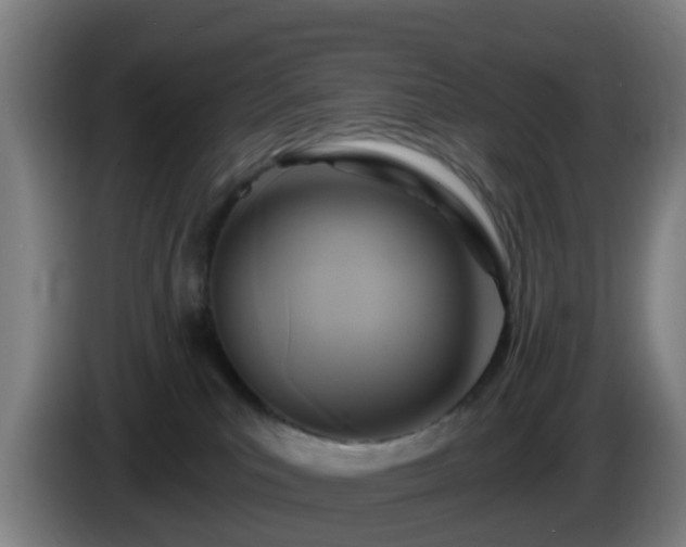 X0000086100039200703301224