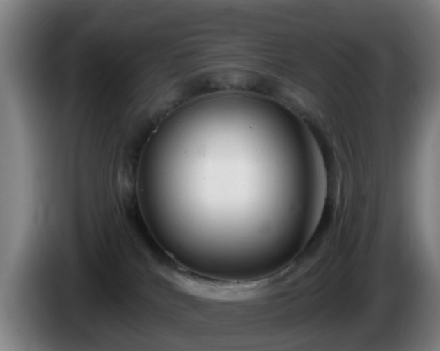 X0000086100040200703301224