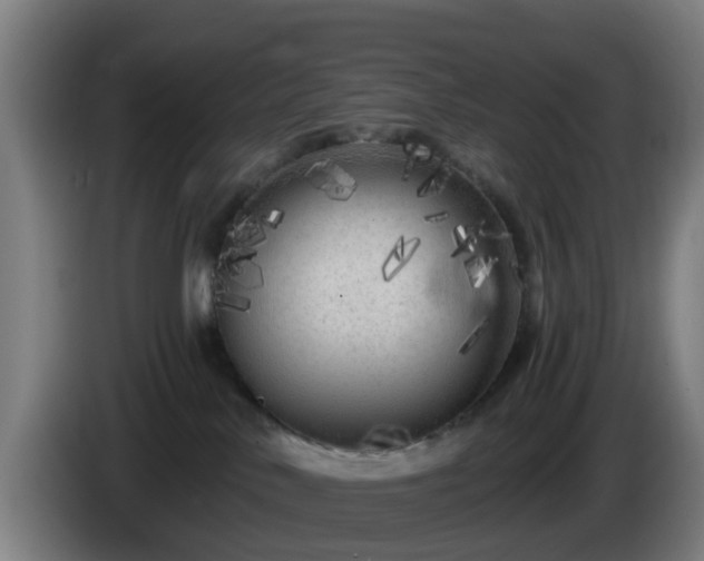 X0000086100042200703301224