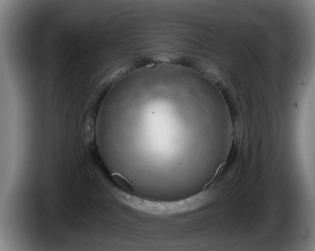X0000086100043200703301224