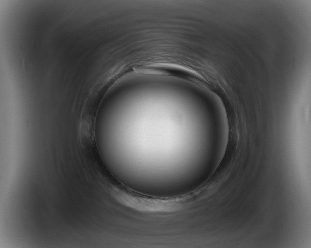 X0000086100044200703301224