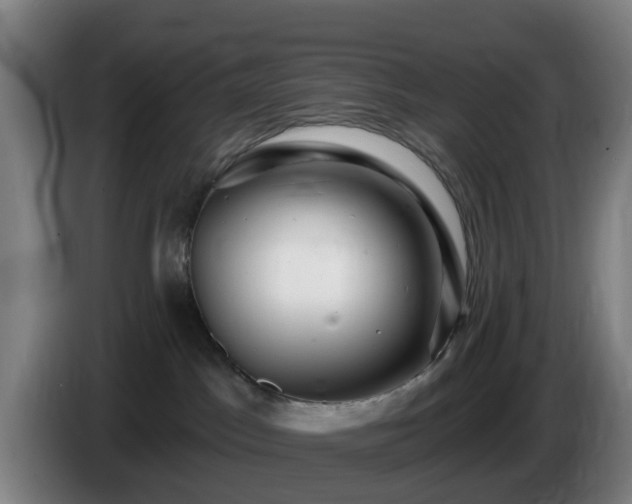 X0000086100045200703301224