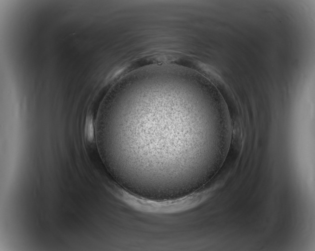 X0000086100046200703301224