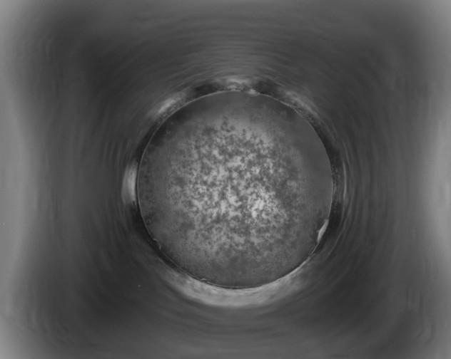 X0000086100047200703301224