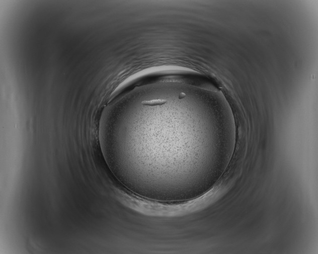 X0000086100048200703301224