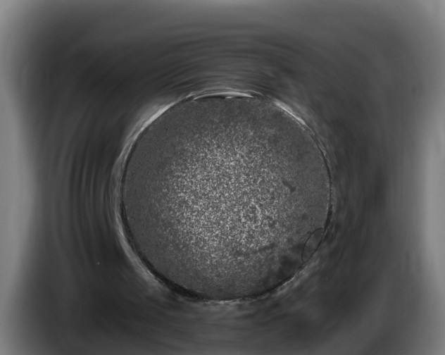 X0000086100049200703301224