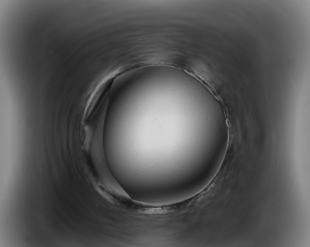 X0000086100050200703301224