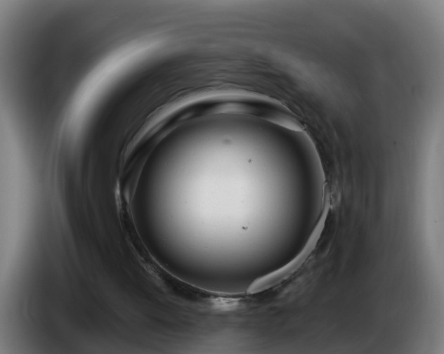 X0000086100052200703301224