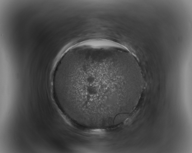 X0000086100053200703301224
