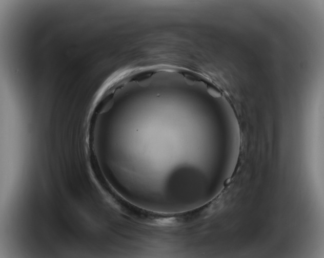X0000086100054200703301224