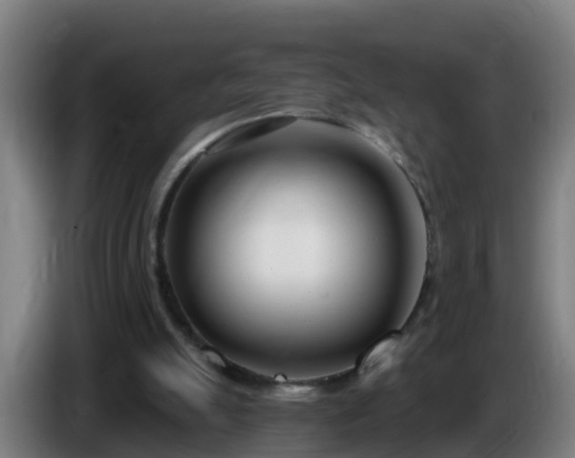 X0000086100055200703301224