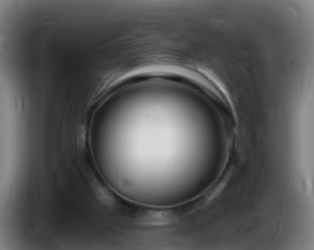 X0000086100057200703301224