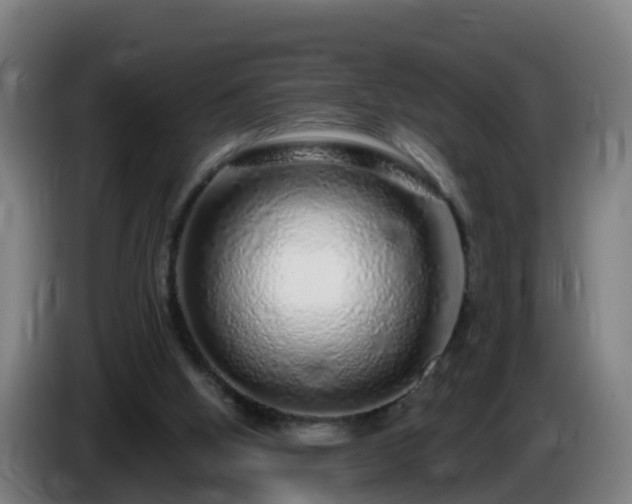 X0000086100058200703301224