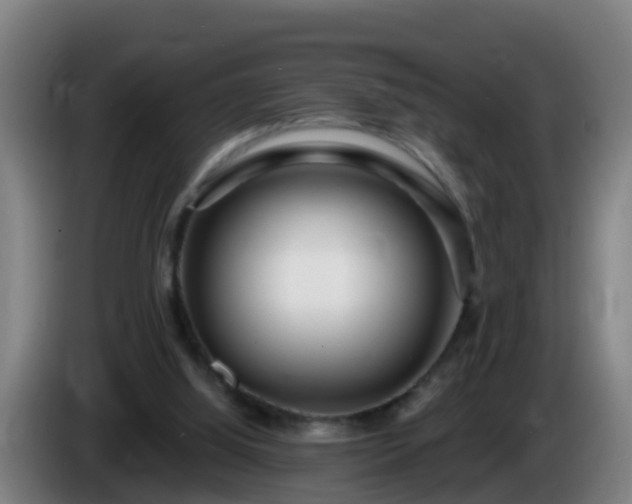 X0000086100060200703301224