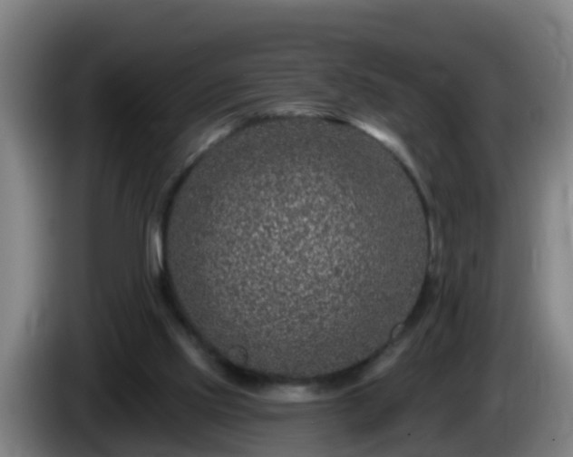 X0000086100061200703301224