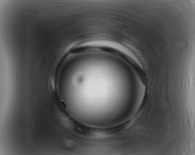 X0000086100062200703301224