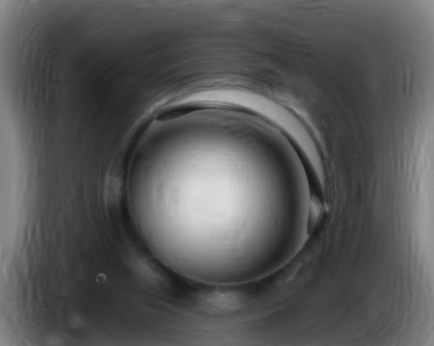 X0000086100063200703301224