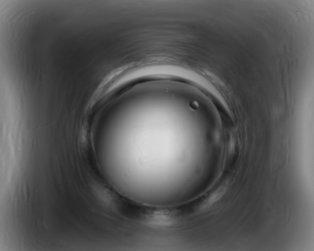 X0000086100064200703301224