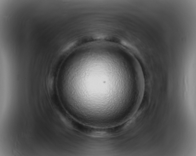 X0000086100066200703301224