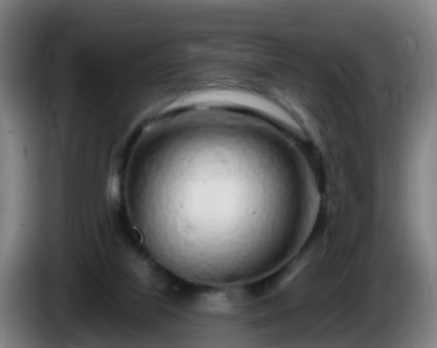 X0000086100067200703301224