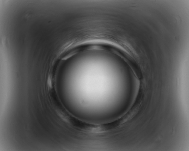 X0000086100068200703301224