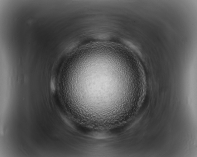 X0000086100069200703301224