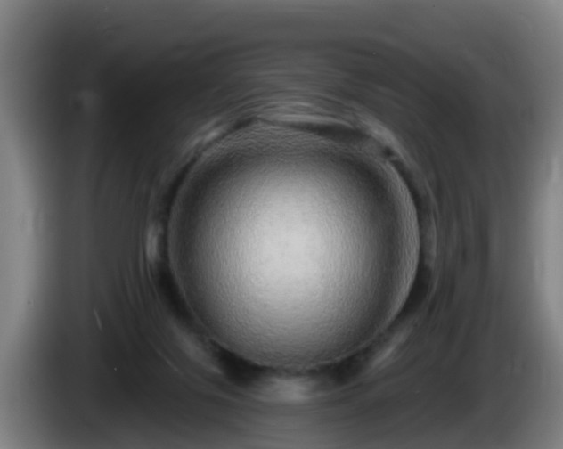 X0000086100071200703301224