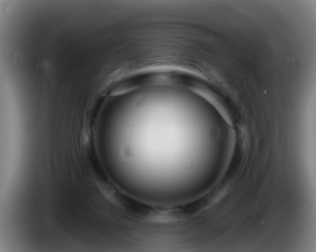 X0000086100072200703301224