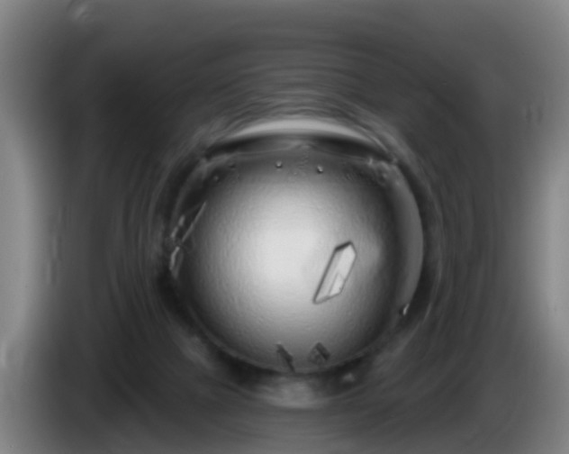 X0000086100073200703301224