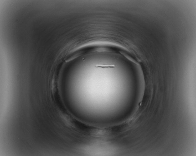 X0000086100074200703301224