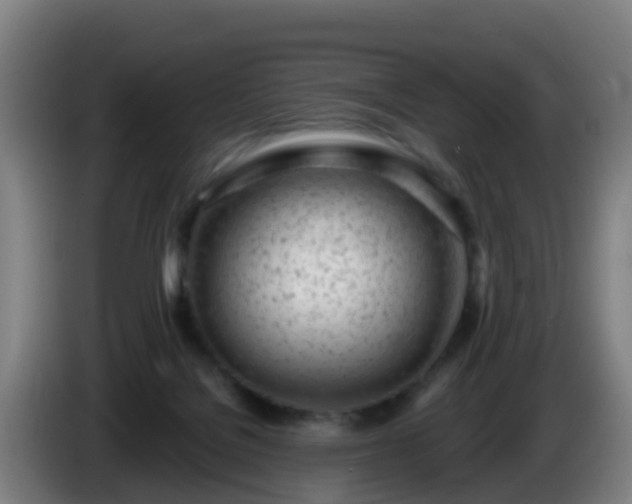 X0000086100076200703301224
