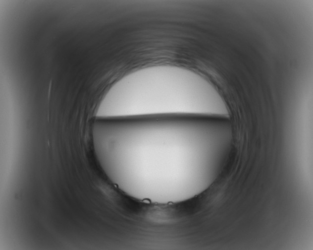 X0000086100077200703301224