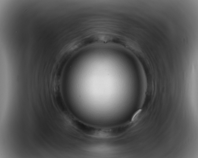 X0000086100078200703301224